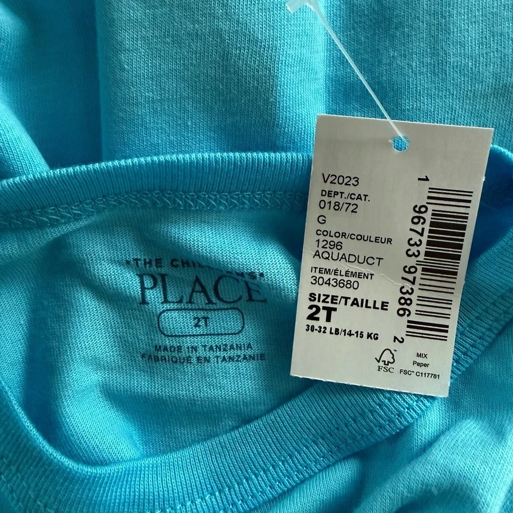 The Children's Place Toddler Blue Graphic Long Sleeve T-Shirt NWT Size 2T